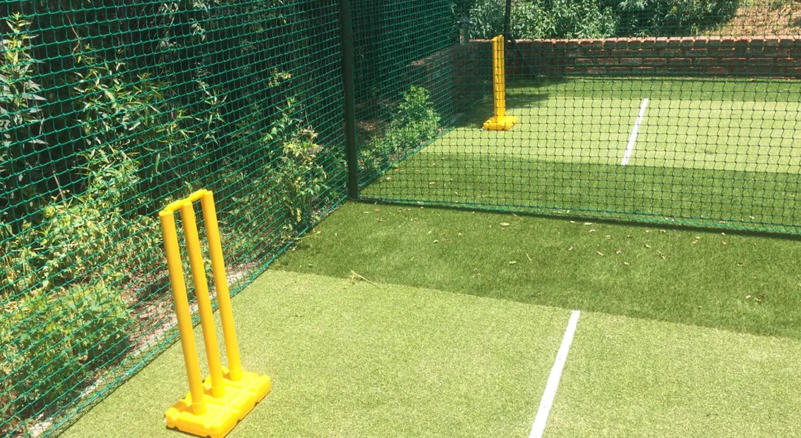 Cricket